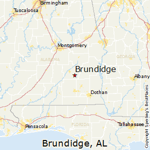 Brundidge,Alabama Map