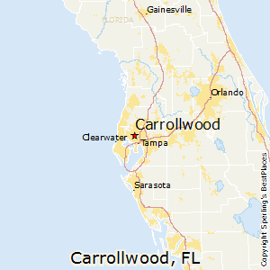 Carrollwood,Florida Map
