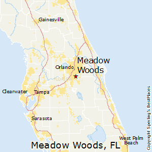 Meadow_Woods,Florida Map
