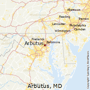 Commercial insurance in arbutus md