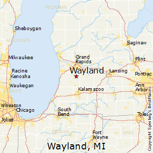 Wayland,Michigan Map