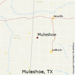 Muleshoe,Texas Map