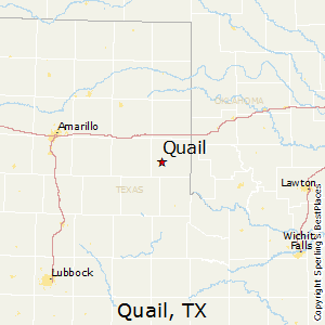 Quail, TX