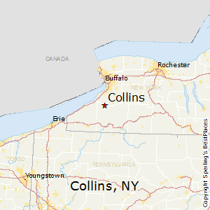 9911276 NY Collins 