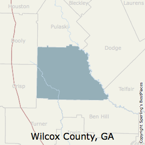 Wilcox,Georgia County Map