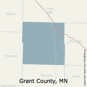 Grant,Minnesota County Map