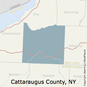 Cattaraugus,New York County Map
