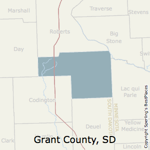 Grant,South Dakota County Map