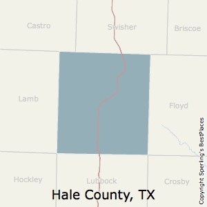 Hale,Texas County Map