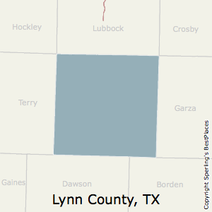 Lynn,Texas County Map