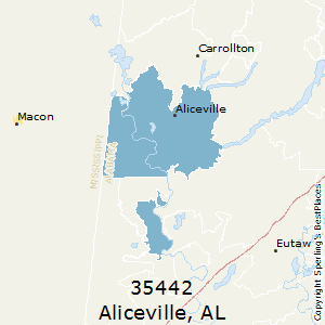 Aliceville,Alabama County Map