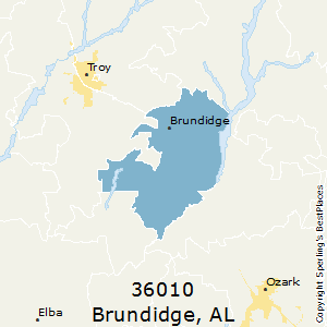 Brundidge,Alabama County Map