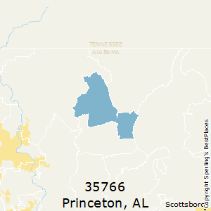 Princeton,Alabama County Map
