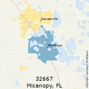 Micanopy,Florida County Map