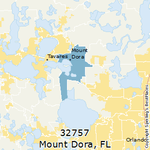 Mount_Dora,Florida County Map