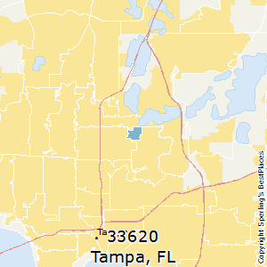 Tampa,Florida County Map