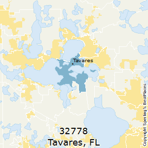 Tavares,Florida County Map