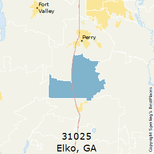 Elko,Georgia County Map