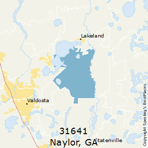 Naylor,Georgia County Map