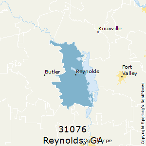 Reynolds,Georgia County Map