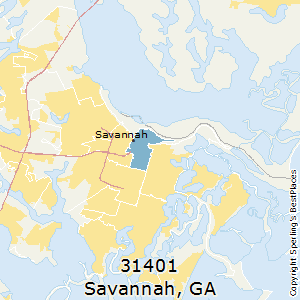 Savannah,Georgia County Map
