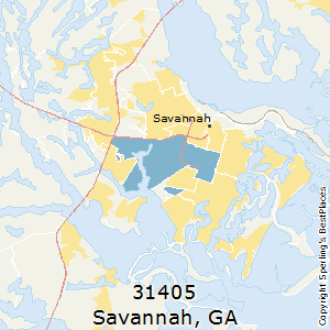 Savannah,Georgia County Map
