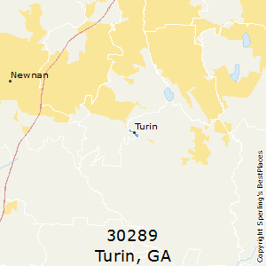 Turin,Georgia County Map