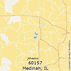 Medinah,Illinois County Map