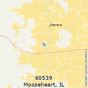 Mooseheart,Illinois County Map