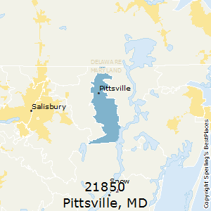 Pittsville,Maryland County Map