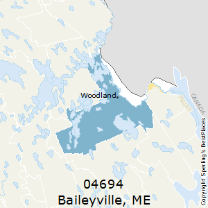 Baileyville,Maine County Map