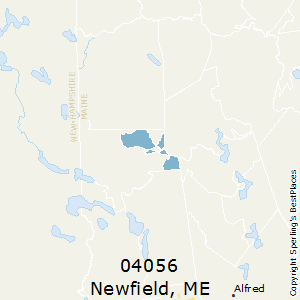 Newfield,Maine County Map