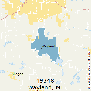 Wayland,Michigan County Map