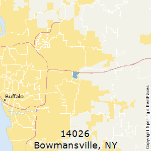 Bowmansville,New York County Map