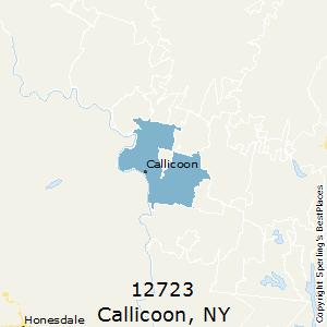 Callicoon,New York County Map