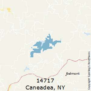 Caneadea,New York County Map