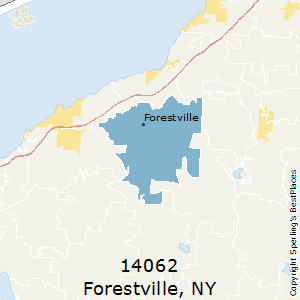 Forestville,New York County Map