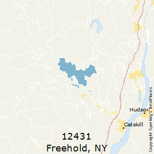 Freehold,New York County Map