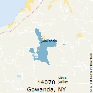 Gowanda,New York County Map