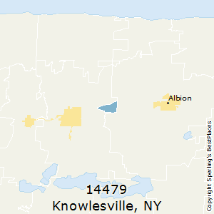 Knowlesville,New York County Map