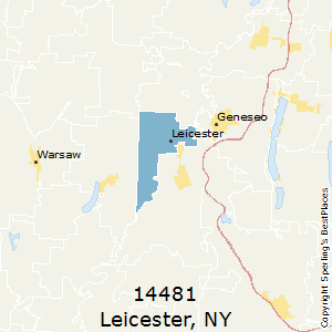 Leicester,New York County Map