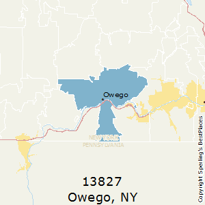 Owego,New York County Map