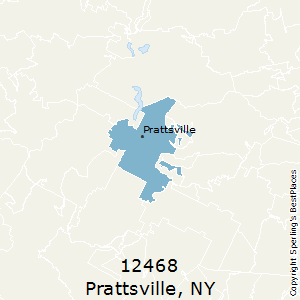 Prattsville,New York County Map
