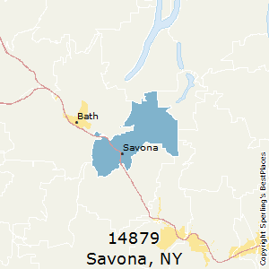 Savona,New York County Map
