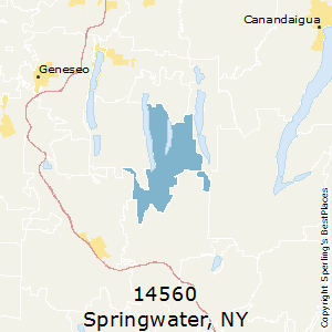 Springwater,New York County Map