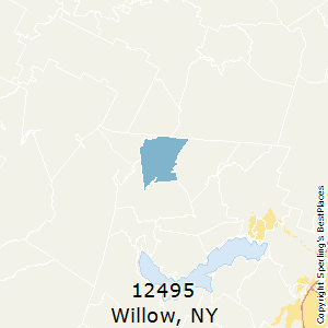 Willow,New York County Map