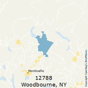 Woodbourne,New York County Map