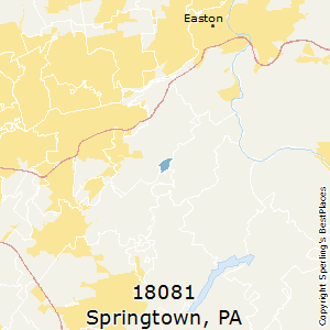 Springtown,Pennsylvania County Map