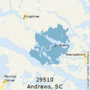 Andrews,South Carolina County Map
