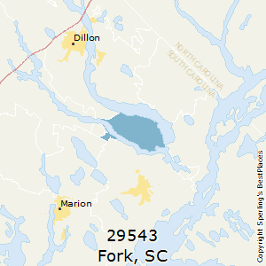 Fork,South Carolina County Map